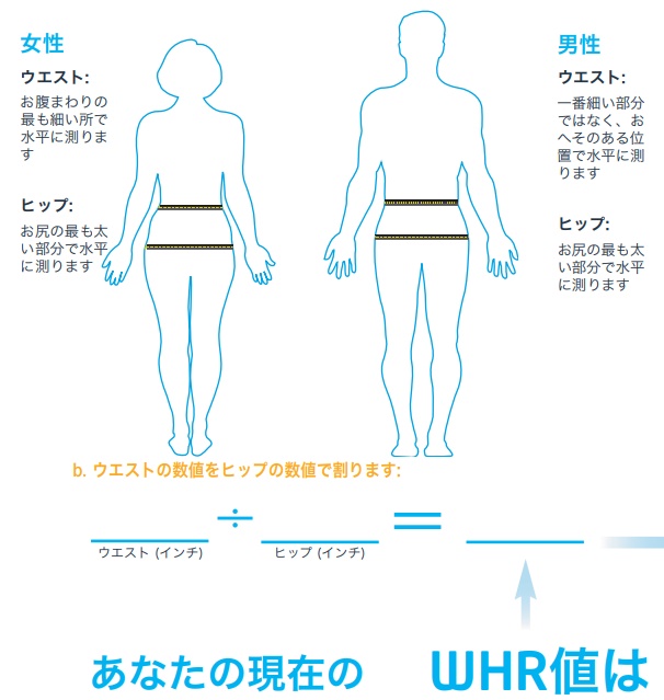 f:id:lifeplus-shop:20201023062824j:plain f:id:lifeplus-shop:20201023062824j:plain