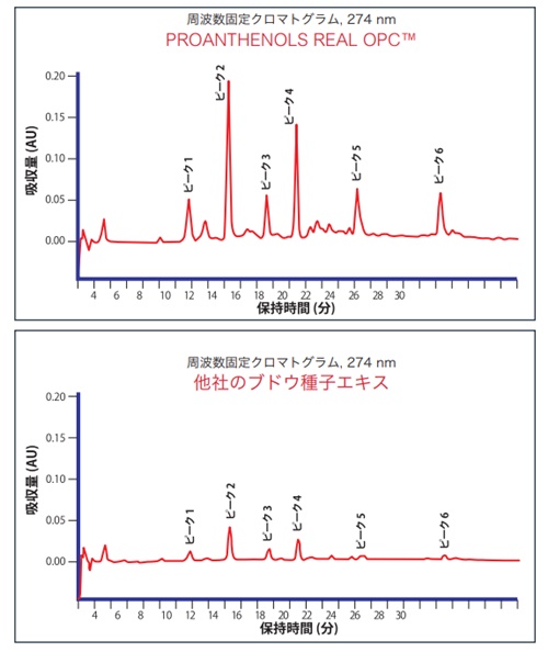 f:id:lifeplus-store:20201128165740j:plain