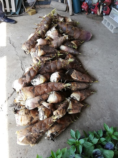 f:id:lifeplusresortstyle:20190422210507j:plain f:id:lifeplusresortstyle:20190422210507j:plain