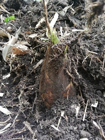 f:id:lifeplusresortstyle:20190422210716j:plain f:id:lifeplusresortstyle:20190422210716j:plain