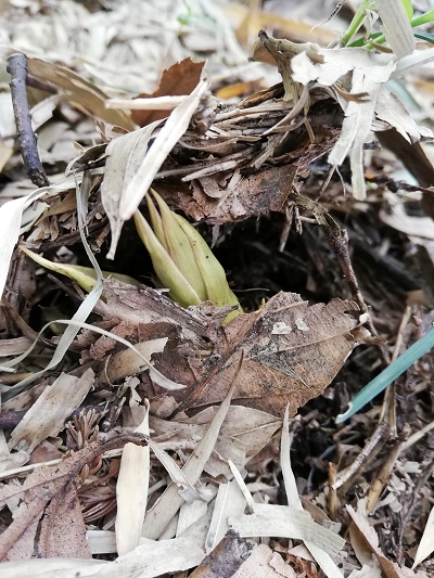 f:id:lifeplusresortstyle:20190422210848j:plain f:id:lifeplusresortstyle:20190422210848j:plain