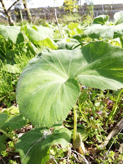 f:id:lifeplusresortstyle:20190424212614j:plain f:id:lifeplusresortstyle:20190424212614j:plain