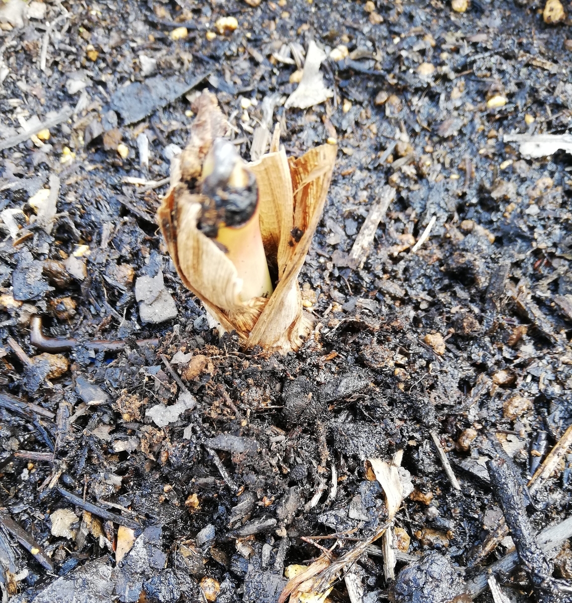 f:id:lifeplusresortstyle:20210527103449j:plain