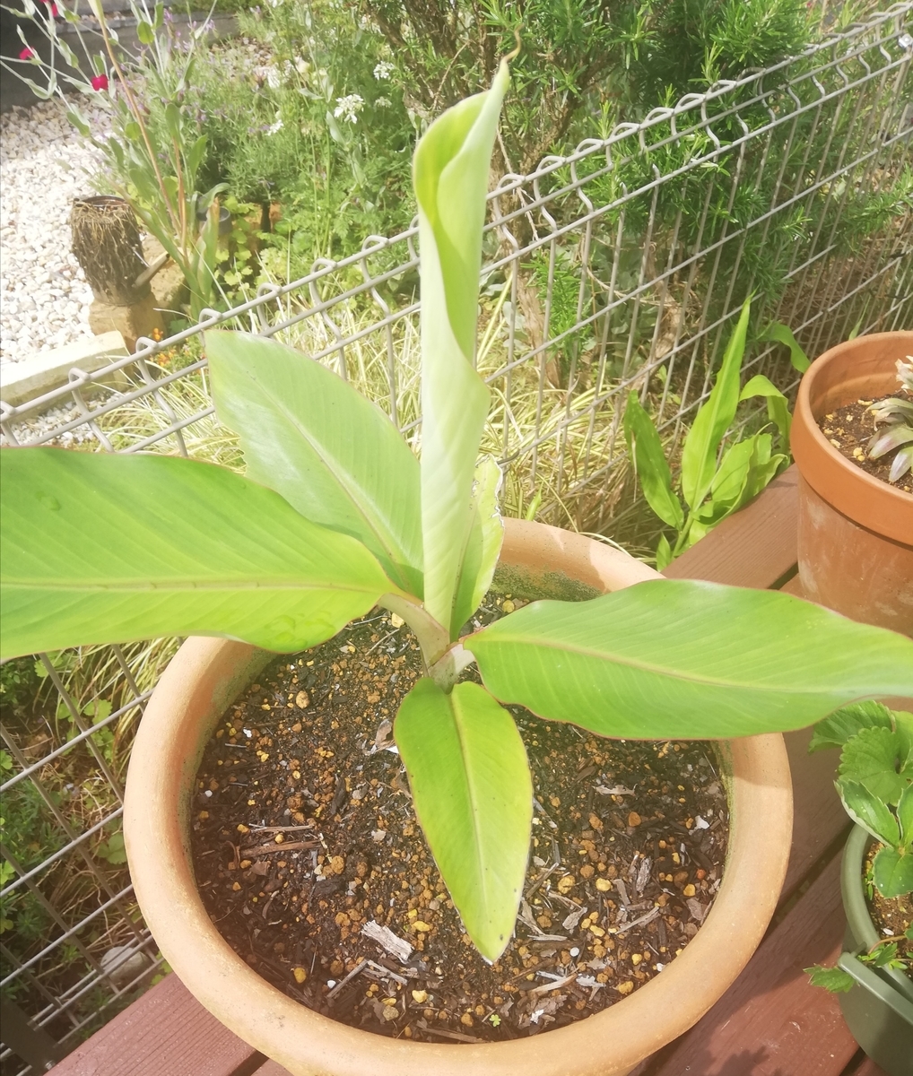 f:id:lifeplusresortstyle:20210528090012j:plain