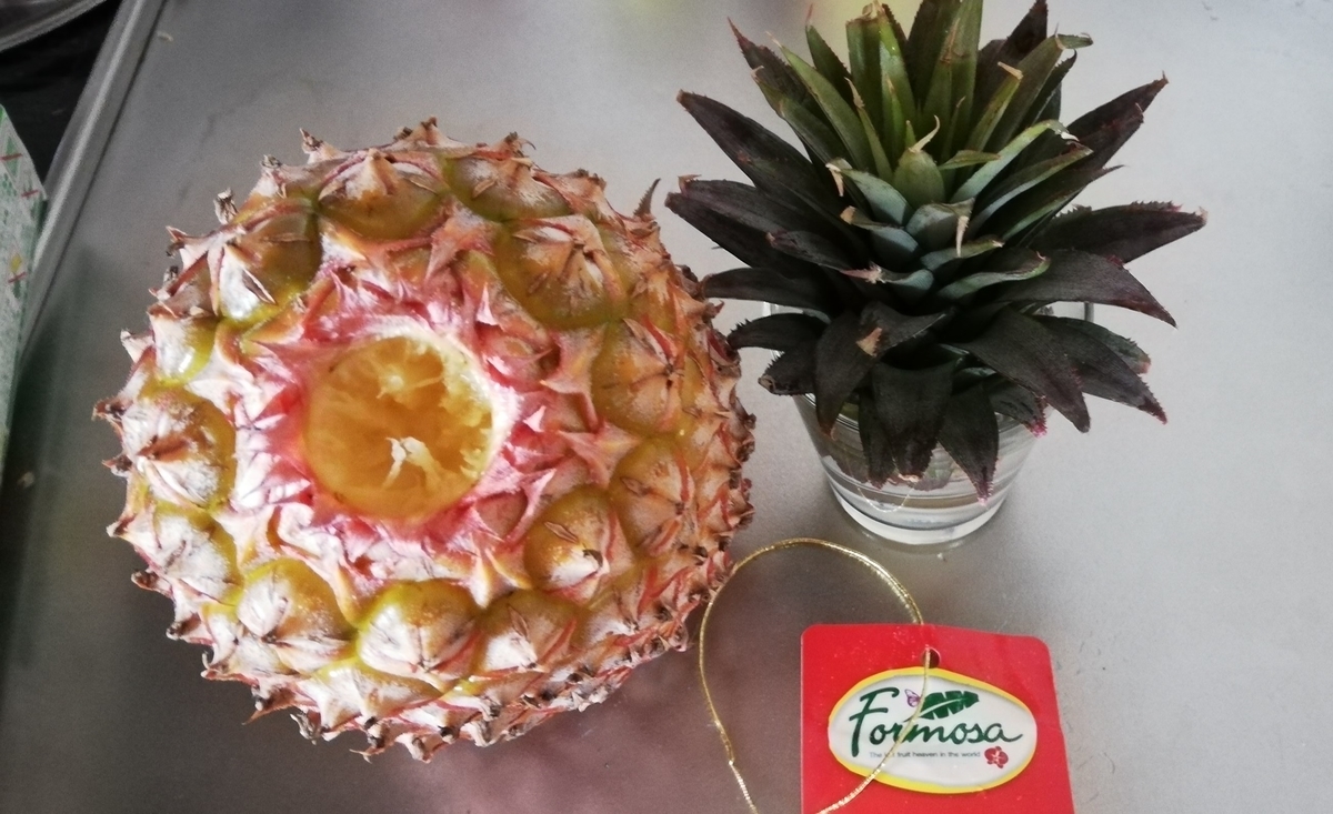 f:id:lifeplusresortstyle:20210601173856j:plain