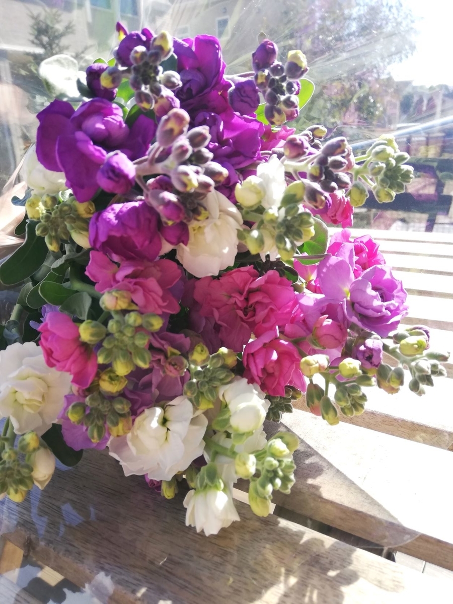花の生産者さんに教えて貰った ストックの切り花 を長持ちさせる方法 シンプルライフで心も体も健康に