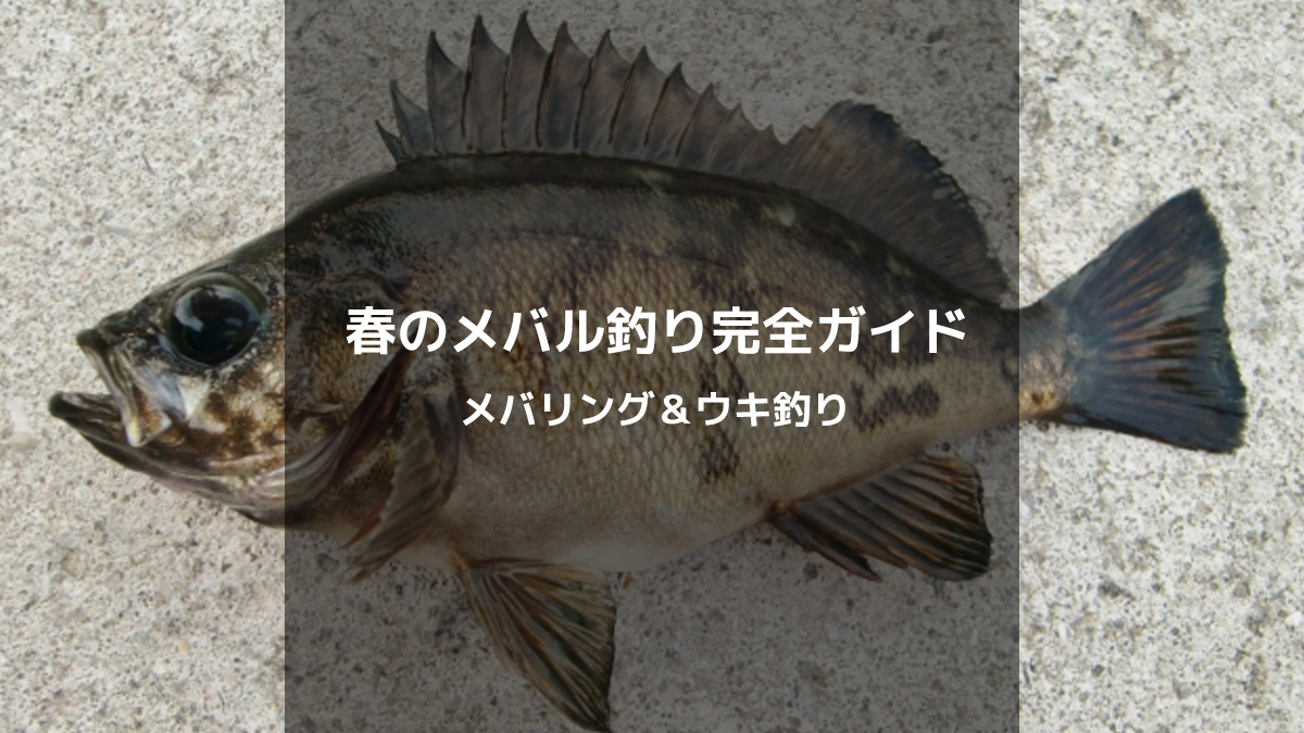 春のメバル釣り完全ガイド！メバリングとウキ釣りで爆釣を狙え