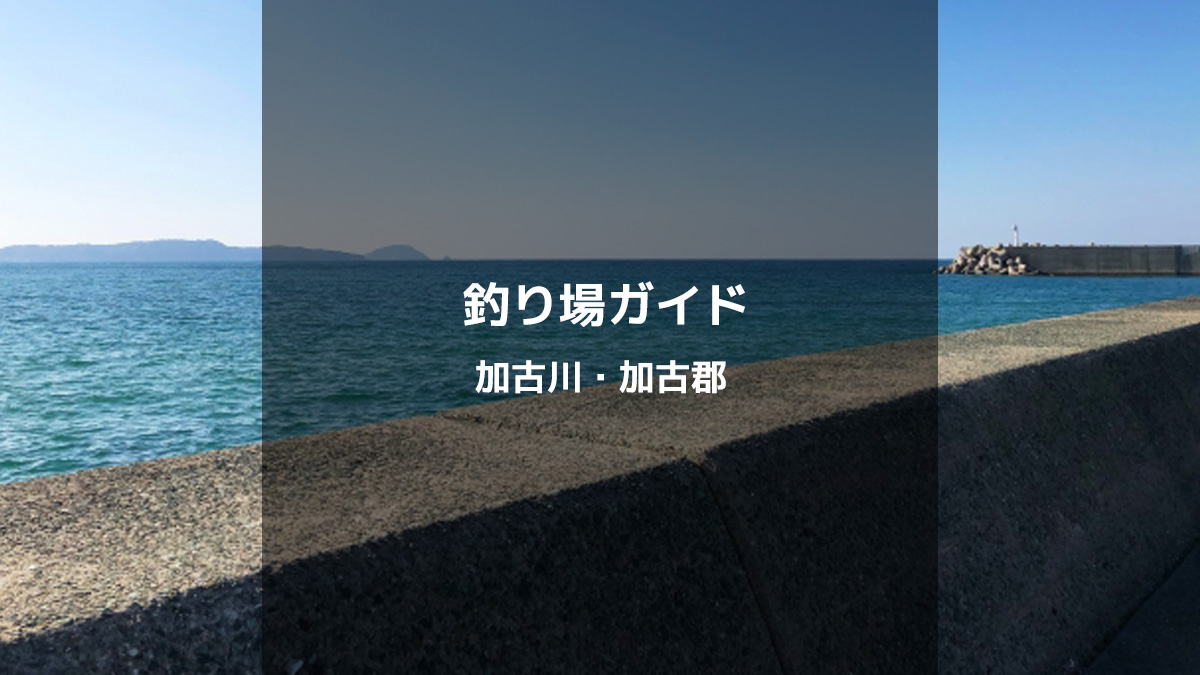 兵庫県加古川・加古郡のおすすめ釣り場ガイド【釣果期待度と足場安心度】