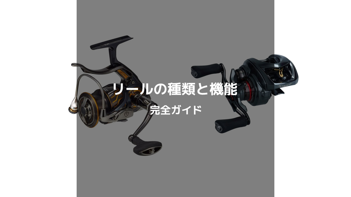 釣り初心者必見！リールの種類と機能徹底ガイド - おすすめのリールも紹介