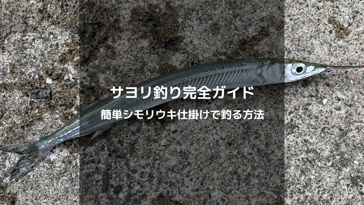 【初心者向け】サヨリの釣り方完全ガイド｜簡単なシモリウキ仕掛けで釣れる方法
