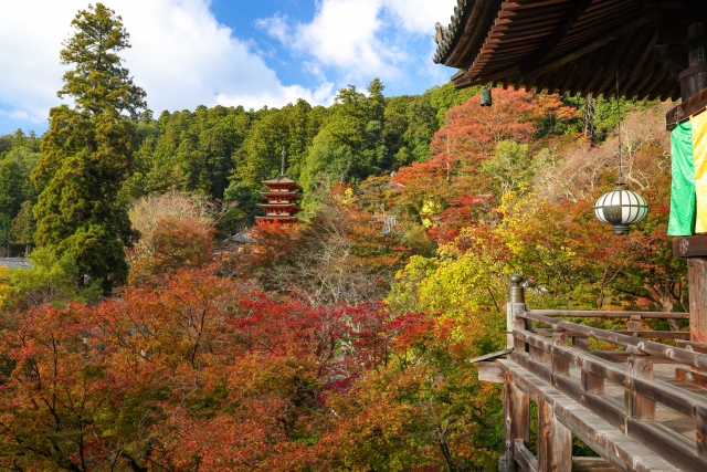 長谷寺