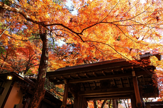 有馬温泉・瑞宝寺公園