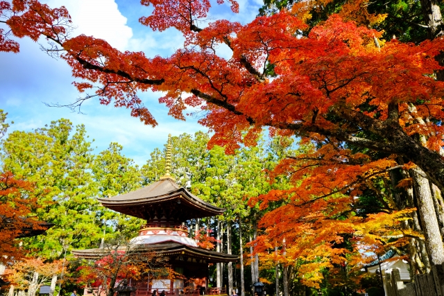 高野山
