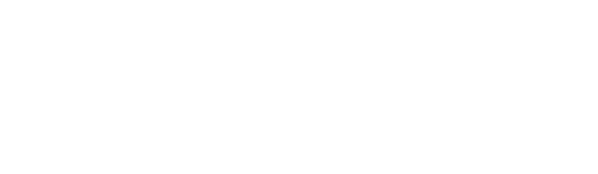 シカクエイド
