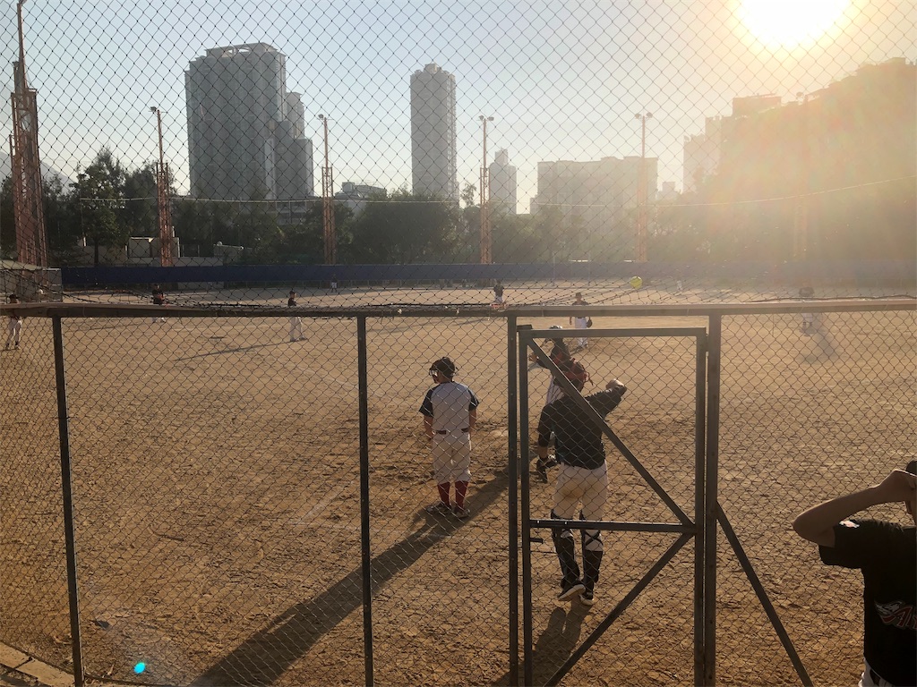 f:id:lifeworkplanner:20191110220115j:image