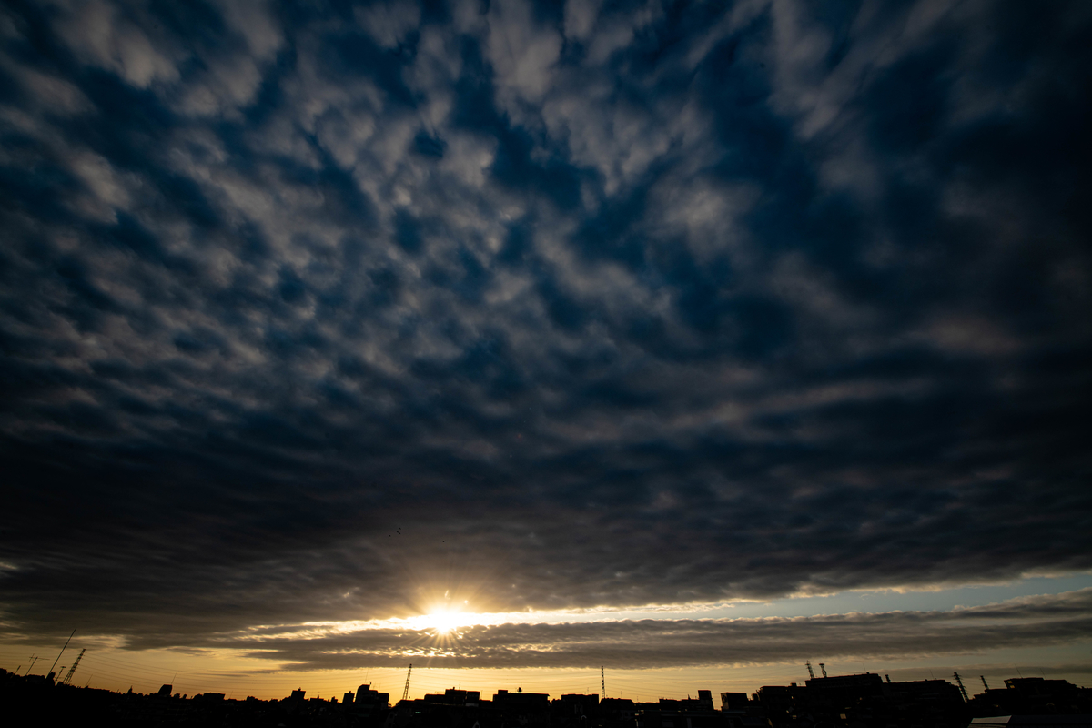 f:id:liganiest:20191022102901j:plain f:id:liganiest:20191022102901j:plain