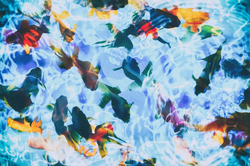 f:id:light_no_vel:20190708145131j:plain