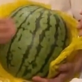20250713010104
