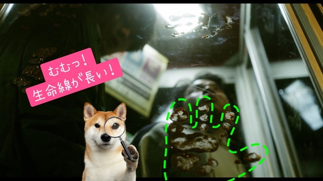 f:id:lightbright:20201004112055j:plain f:id:lightbright:20201004112055j:plain