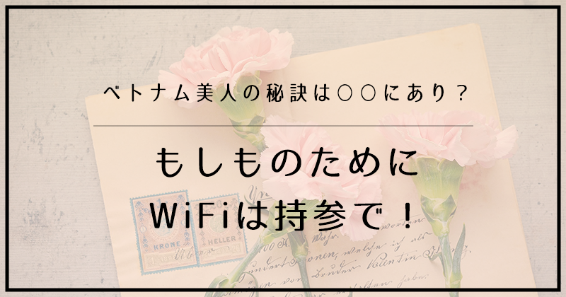 ベトナム美人の秘訣は にあり もしものためにwifiは持参で Accolog