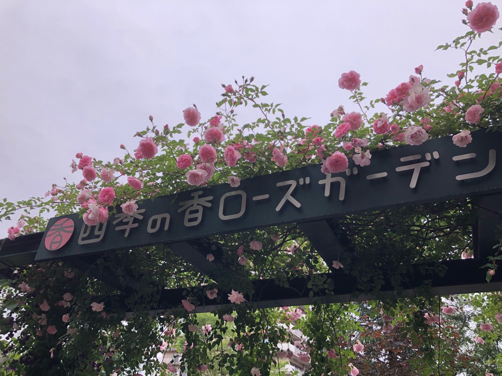f:id:lighthills:20210522173623j:plain