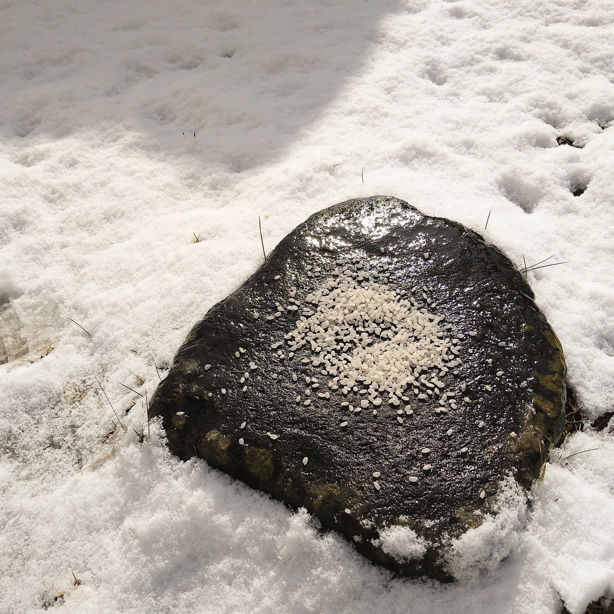 f:id:ligthbrreeeze:20220118120617j:plain