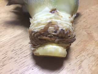 f:id:like_fish:20170827231300j:plain f:id:like_fish:20170827231300j:plain
