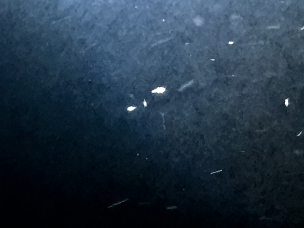 f:id:like_fish:20180208114952j:plain f:id:like_fish:20180208114952j:plain