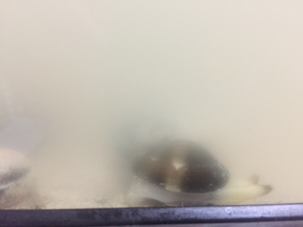 f:id:like_fish:20180210202627j:plain f:id:like_fish:20180210202627j:plain