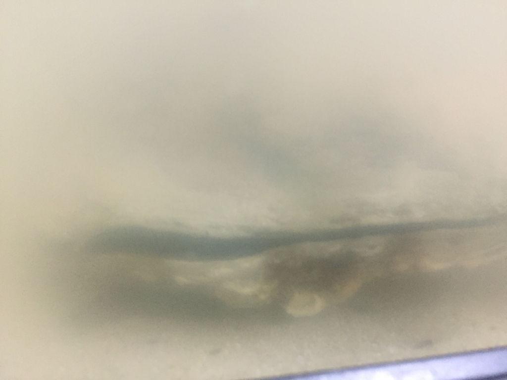 f:id:like_fish:20180212180700j:plain f:id:like_fish:20180212180700j:plain