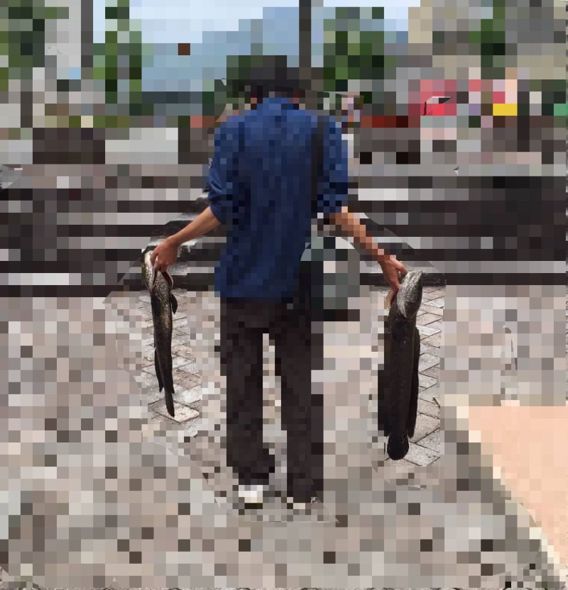 f:id:like_fish:20180330031635j:plain f:id:like_fish:20180330031635j:plain