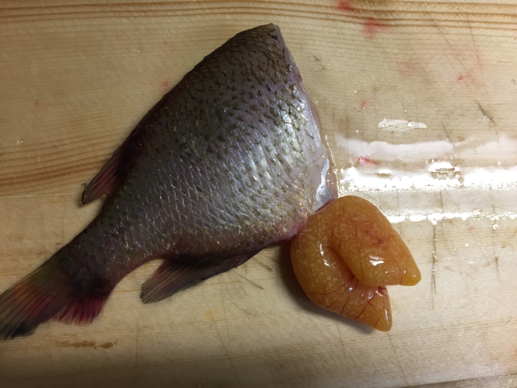 f:id:like_fish:20180521231113j:plain f:id:like_fish:20180521231113j:plain