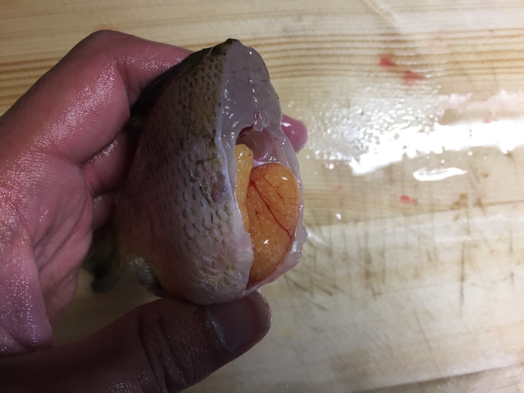 f:id:like_fish:20180521231308j:plain f:id:like_fish:20180521231308j:plain