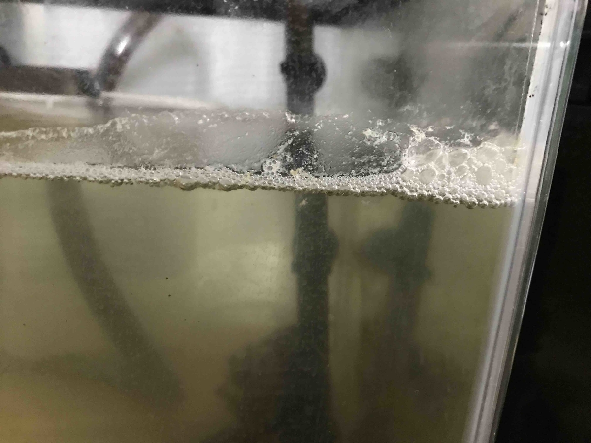 f:id:like_fish:20190516001830j:plain f:id:like_fish:20190516001830j:plain