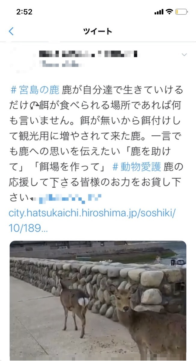 f:id:like_fish:20200403025513j:plain f:id:like_fish:20200403025513j:plain