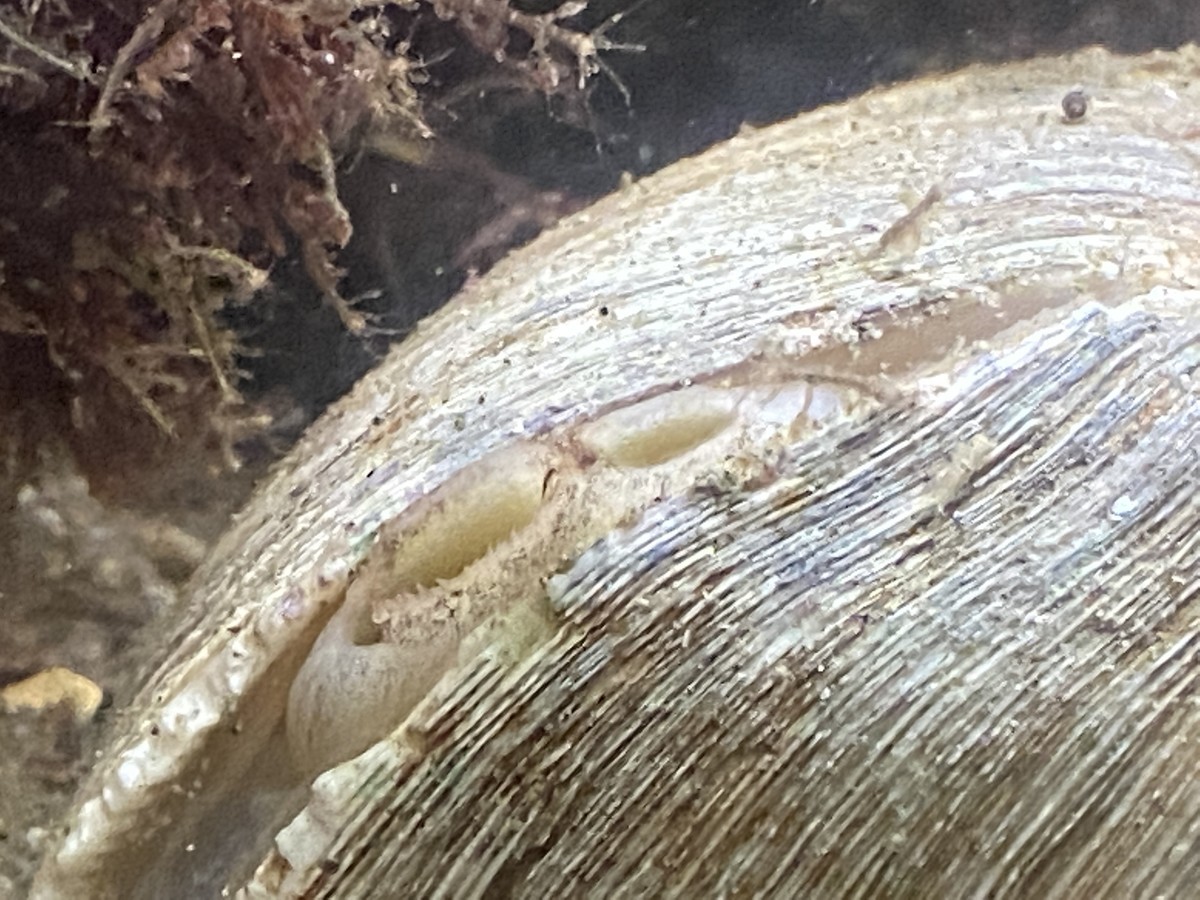 まつもとの雑記 まつもとの雑記