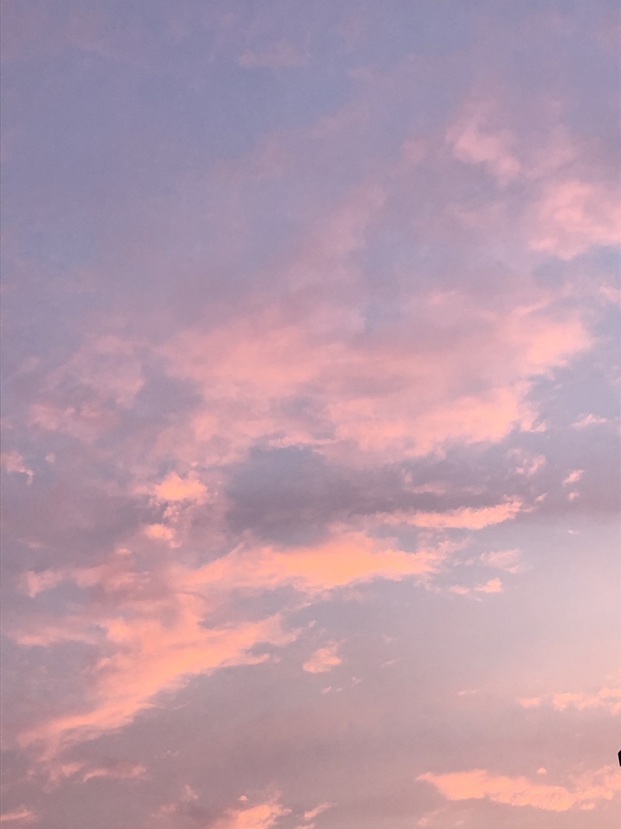 f:id:like_nanohana:20200628103943j:plain