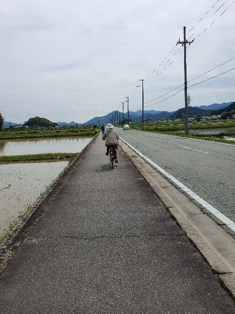 f:id:likedo:20220506221233j:image