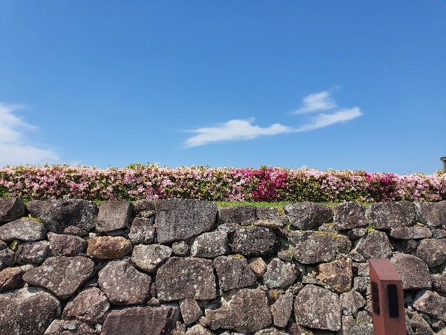 f:id:likedo:20220506223020j:image