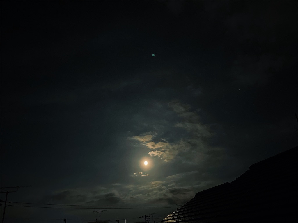 f:id:lila358:20220911224744j:image f:id:lila358:20220911224744j:image