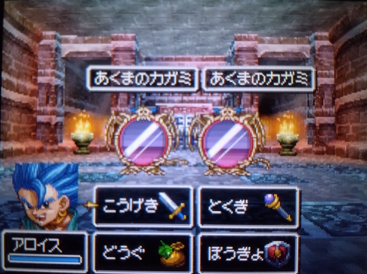 ドラクエ6：主人公・バーバラ2人旅(種集め②) - リーラのドラクエブログ