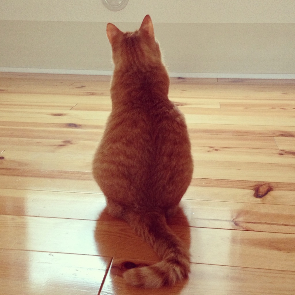 f:id:lilas_junko:20160924154710j:image f:id:lilas_junko:20160924154710j:image