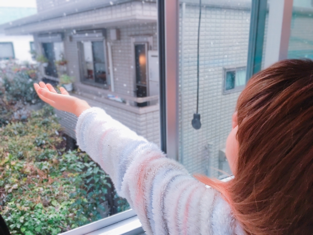 f:id:lili__lili:20190210233559j:plain:w300 f:id:lili__lili:20190210233559j:plain:w300