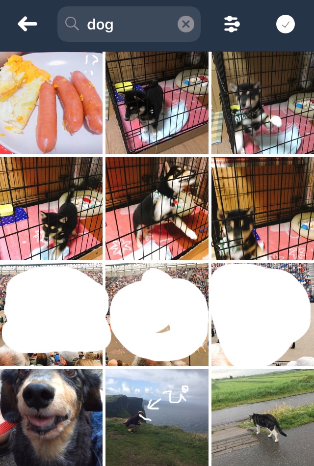 f:id:lili__lili:20190214003428j:plain:w250