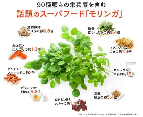 f:id:lili__lili:20190215233617j:plain:w250