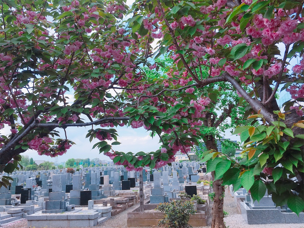 f:id:lili__lili:20190425143045j:image