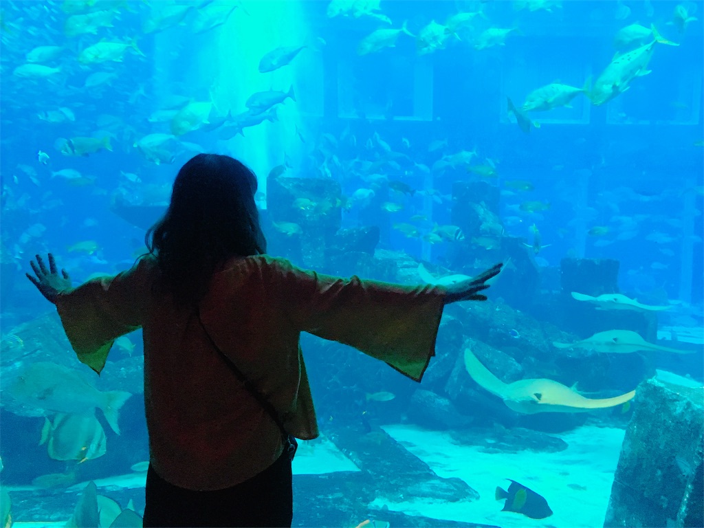 f:id:lili__lili:20190620130748j:image