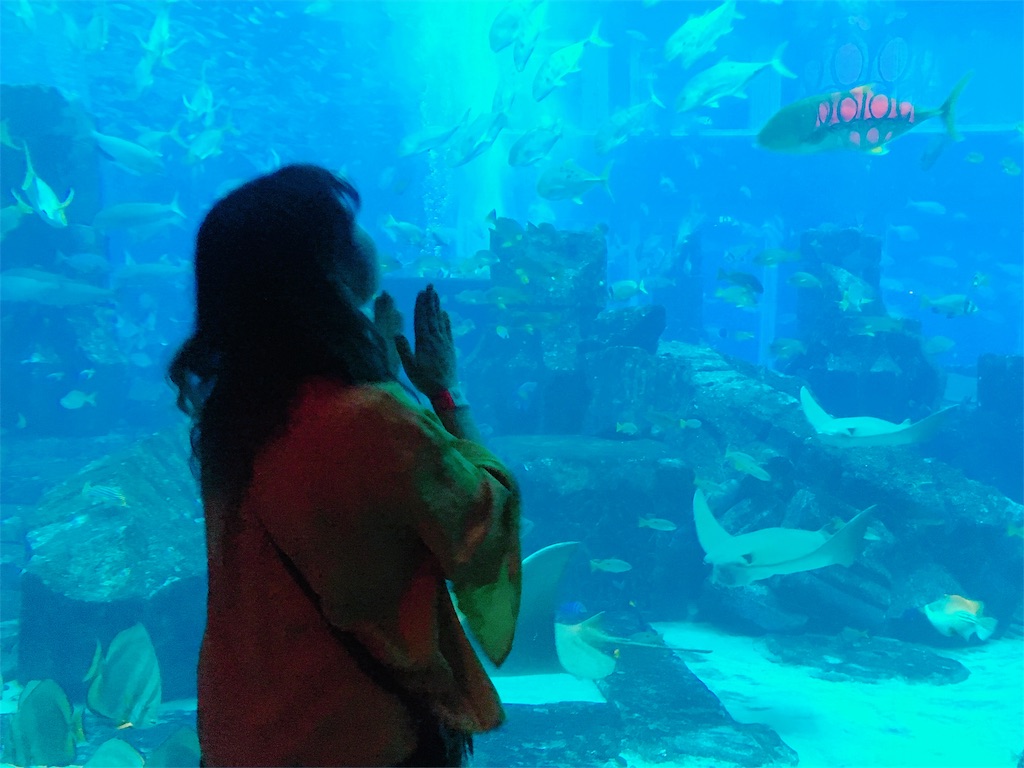 f:id:lili__lili:20190620130828j:image