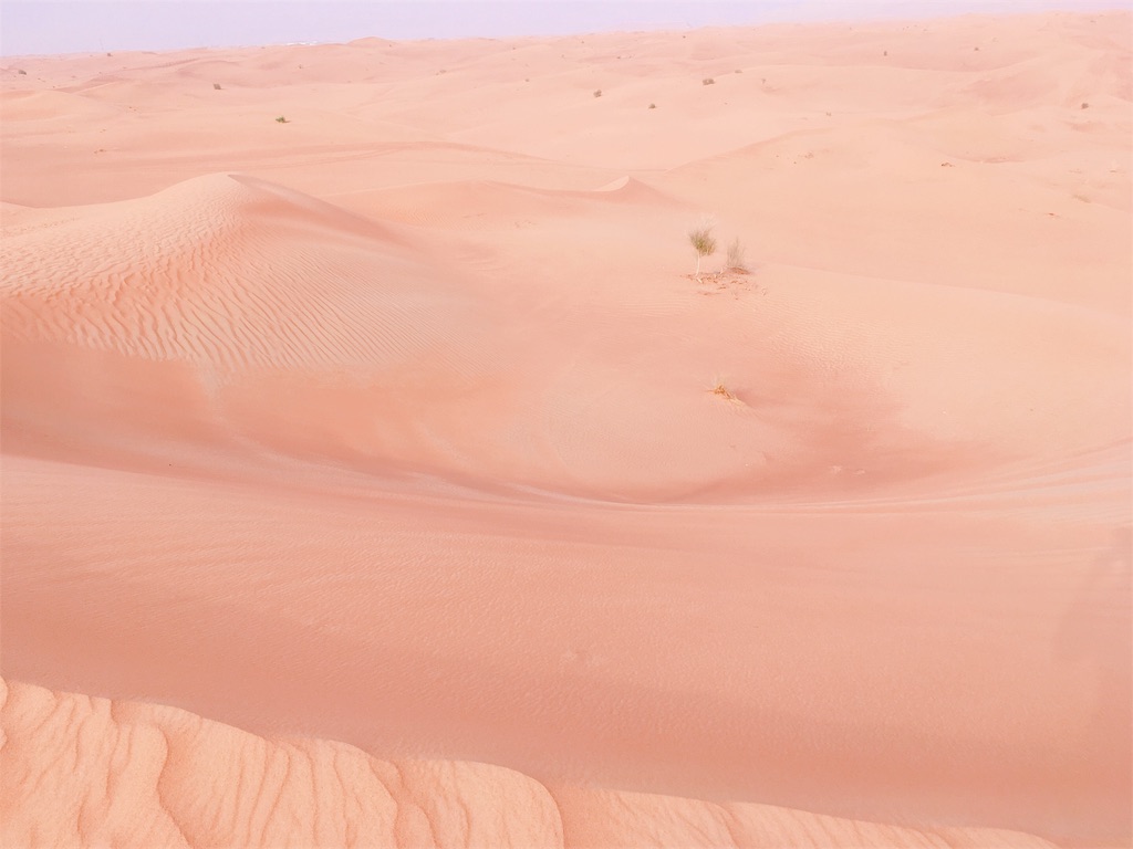 f:id:lili__lili:20190624203919j:image f:id:lili__lili:20190624203919j:image