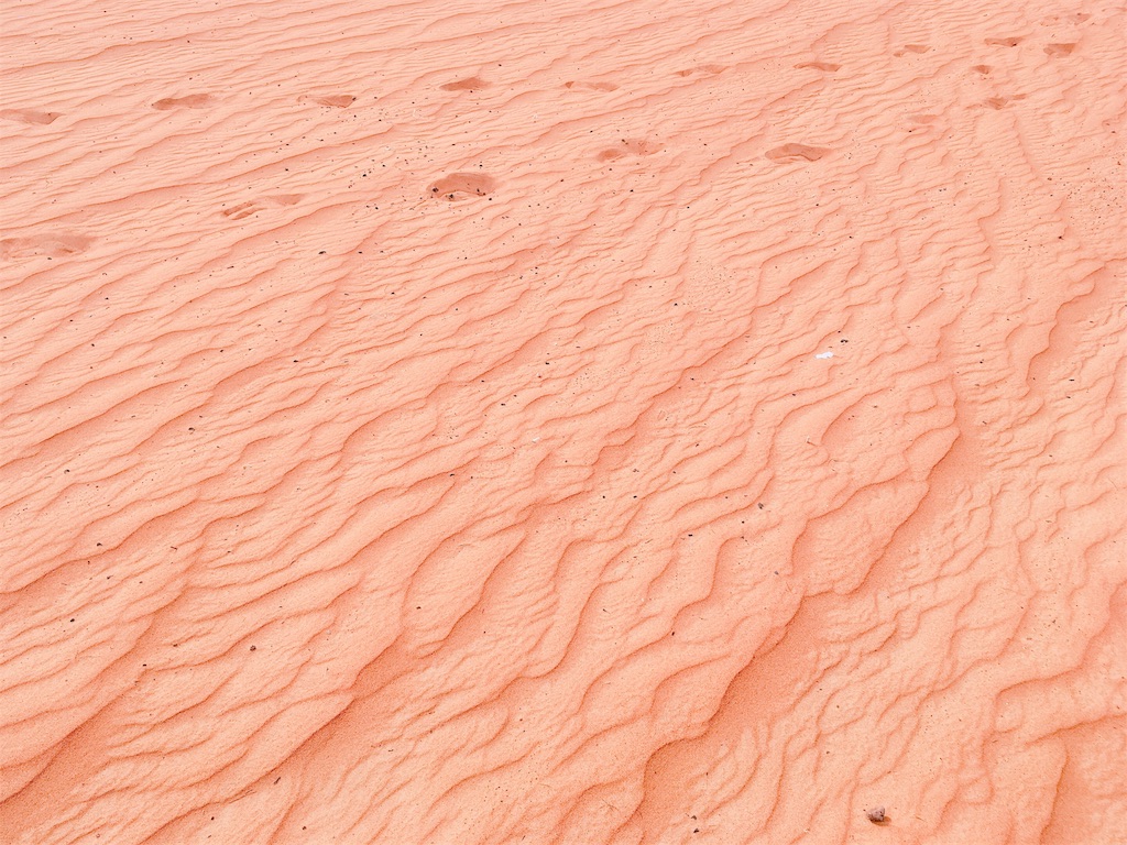 f:id:lili__lili:20190624204115j:image f:id:lili__lili:20190624204115j:image